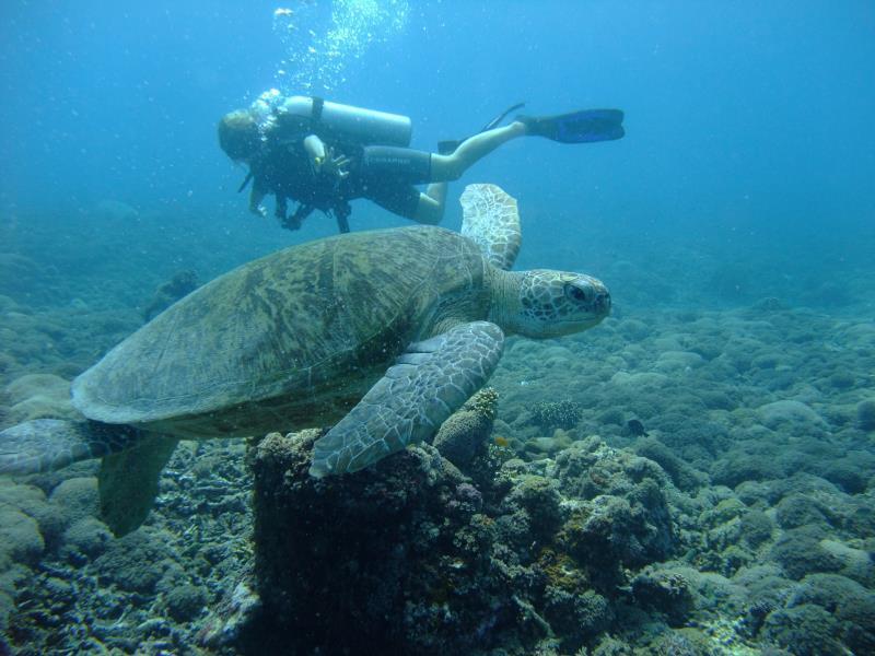 Ricel Homestay Gili Trawangan Luaran gambar